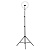 Торшер Camelion KD-810F C02 13010